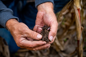 Cargill_Soil_Vinton_0430