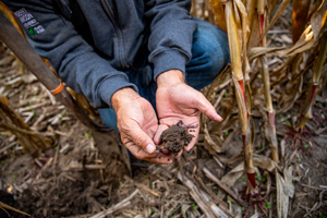 Cargill_Soil_Vinton_0431